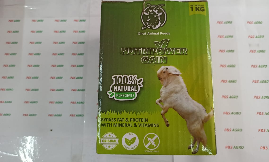 Nutripower 1kg supplement mass gainer 